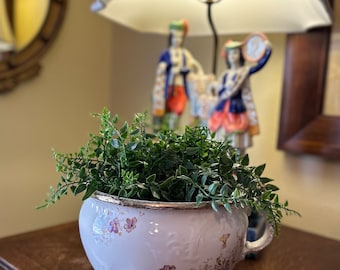 May include: A white ceramic planter with a floral design and gold trim, filled with a green leafy plant. The planter is sitting on a wooden surface.