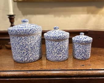 Blue and white Canister Set