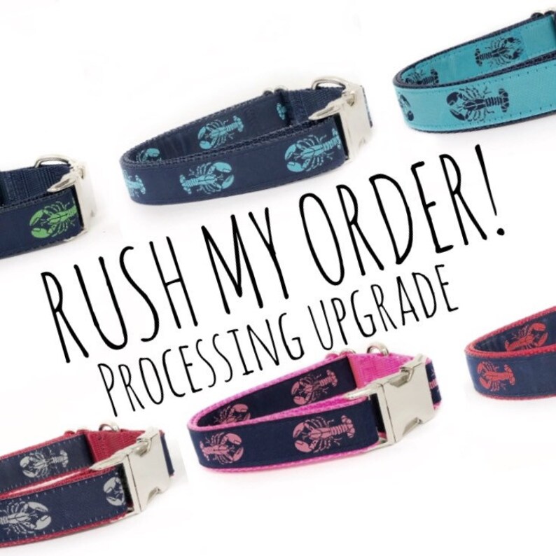 Rush My Order Processing Upgrade, Jump The Line image 1