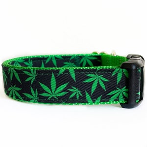 May include: A black dog collar with a green marijuana leaf pattern. The collar has a green edge and a black plastic buckle.