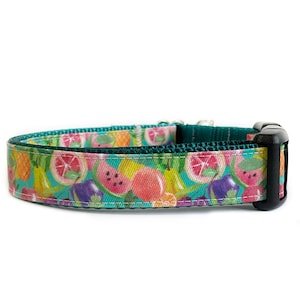 Hundehalsband, Aquarell Obst, Pastellfarben mit Türkis Nylon, lustiges Halsband
