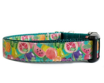 Hondenhalsband, aquarelfruit, pastelkleuren met blauwgroen nylon, leuke halsband