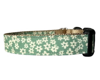 May include: A green dog collar with a white floral pattern. The collar has a brown stitching detail and a black buckle.