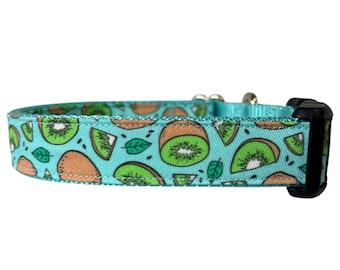 Dog Collar, Kiwi Fruit, Pastels with Teal Nylon, Fun Collar