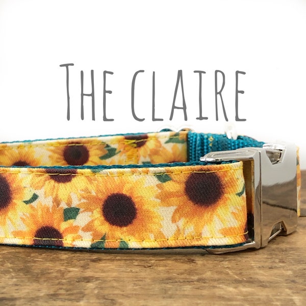 Dog Collar, Sunflower Dog Collar, Sunflower Fabric, Vibrant Teal Nylon, Plastic Buckle, Metal Buckle, Martingale, Customized