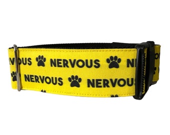 Dog Collar, Nervous Dog, Reactive Dog Plastic Buckle, Metal Buckle, Martingale