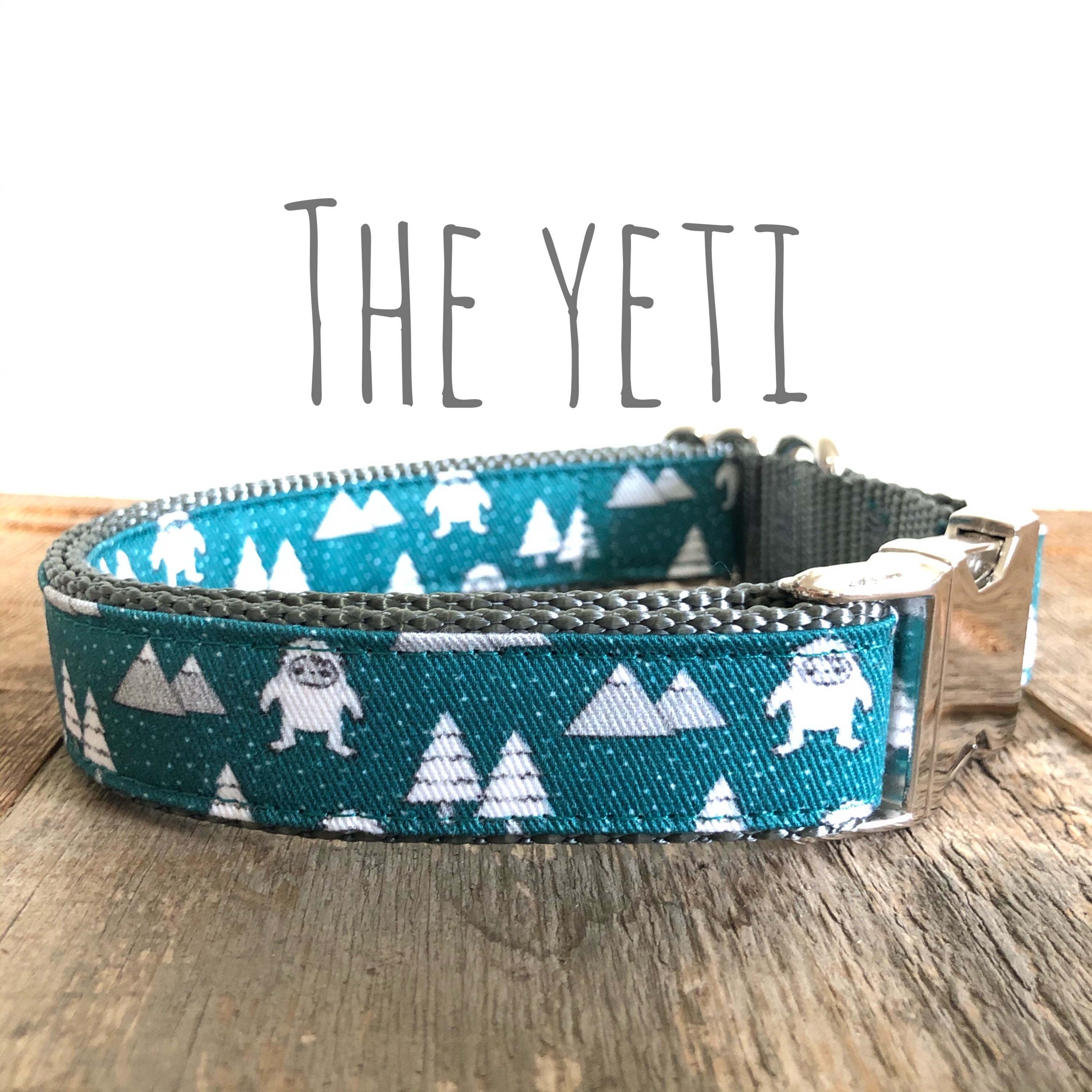 Dog Collar Yeti Teal Winter Sew Fetch on Silver Martingale 