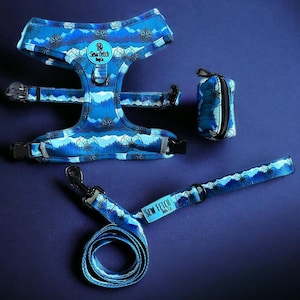 Mountains Compass Rose Dog Harness, Constellations, Reversible Neoprene WITH LEASH
