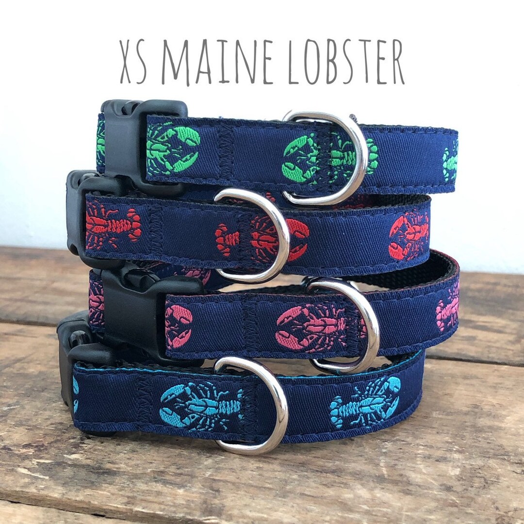 Xs Dog Accessories
 XS Dog Collars Plastic Buckle Metal Buckle Martingales Etsy