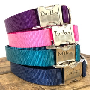 Engraved Dog Collar,Engraved Buckle Dog Collar, Buckle Upgrade, Personalized Dog Collar, Nylon Collar with Personalization, Engraved Collar
