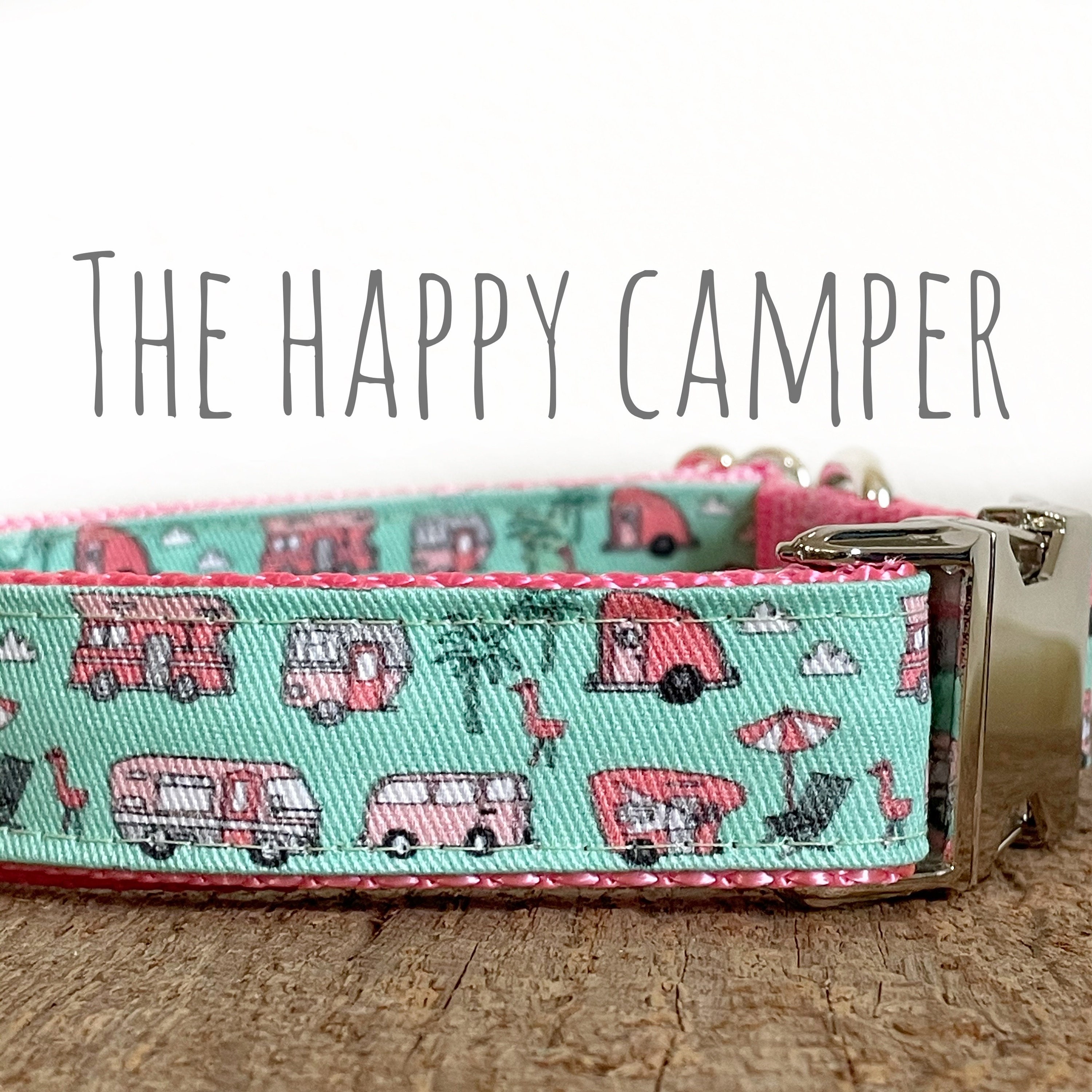 RV and Camping Dog Collar 2 RV and Camping Dog Collar 2