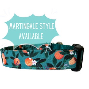 Hundehalsband Peach Floral Teal, Teal Nylon, Kunststoffschnalle, Metallschnalle, Martingale