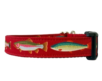 Dog Collar, Trout Dog Collar, Rainbow Trout, Lake, Fishing, Outdoors