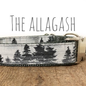 Dog Collar, Forest Trees, Imperfect Pine Hiking, Moutains, Pine Trees, outdoors, Plastic Buckle, Metal Buckle, Martingale