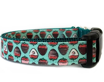 Dog Collar, Valentine’s Day, Chocolate Strawberries, Teal Nylon