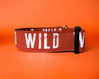 Wild Dog Collar, Orange Nylon, Wild Hiking Collar, Outdoor Collar, Burnt Orange