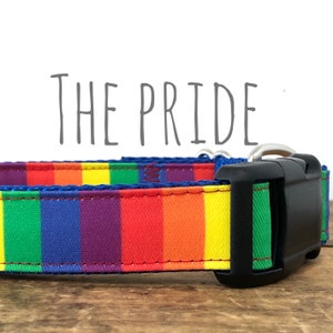 May include: A rainbow striped dog collar with a black plastic buckle. The collar has the text "THE PRIDE" printed above it.