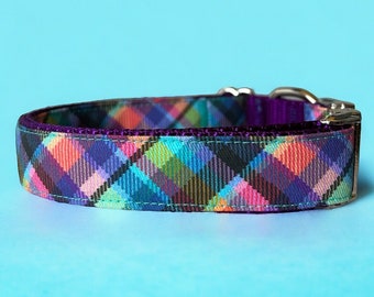 Dog Collar, Madras Plaid Dog Collar, Purple Nylon, Rainbow, Gingham, Preppy Collar