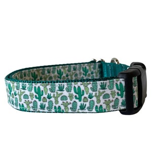 Hundehalsband, Kaktus Sukkulenten Blumenhalsband, Teal Nylon, Kaktusblüte, Wüstenhalsband