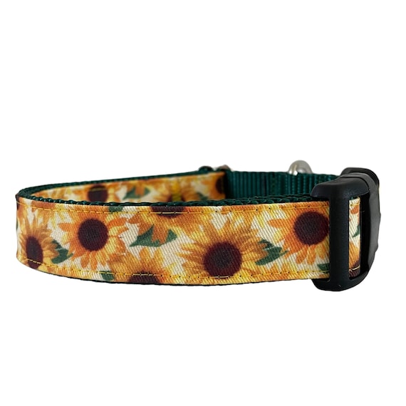 Dog sunflower collar discount