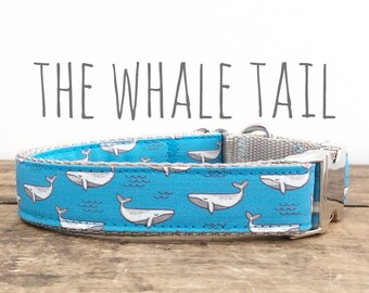 Whale Dog Collar, Whales, Nautical Dog Collar Plastic Buckle