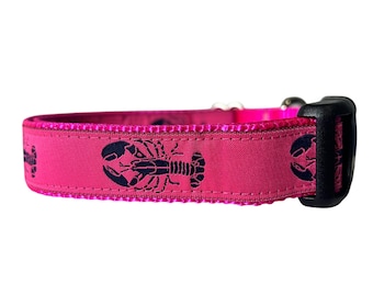 Dog Collar, Lobster Dog Collar, Fuchsia Nylon, Navy Lobster, Nautical Collar Pink/Navy/Pink