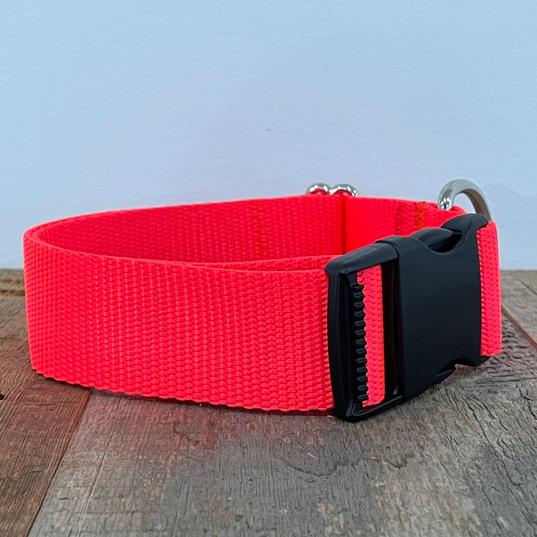 Blaze Orange Dog Collar Safety Dog Collars Sew Fetch Dog Etsy