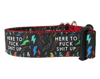 Collar para perros con palabras F, malas palabras, collar para perros loco, collar para perros con rayo