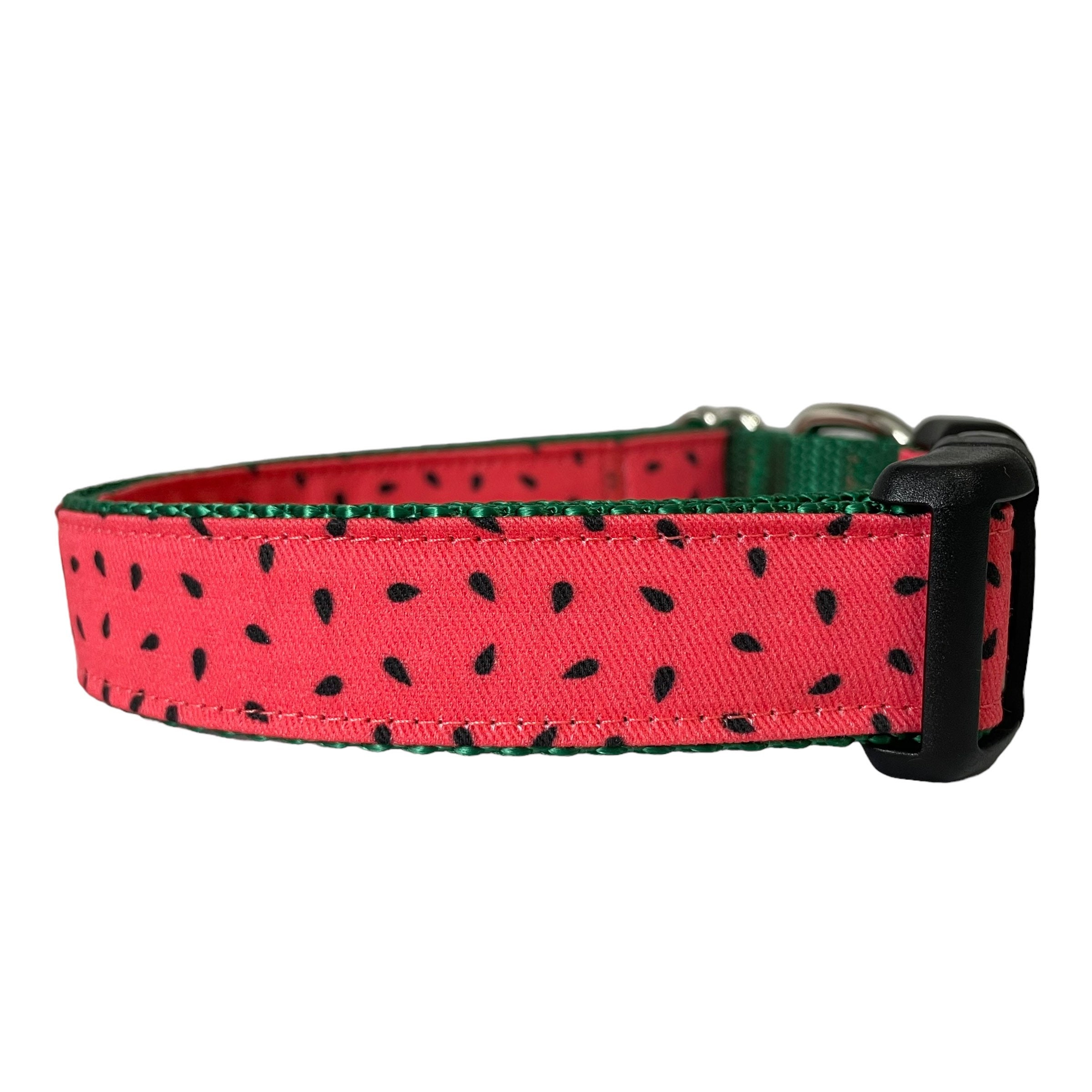 Lupine online dog collars