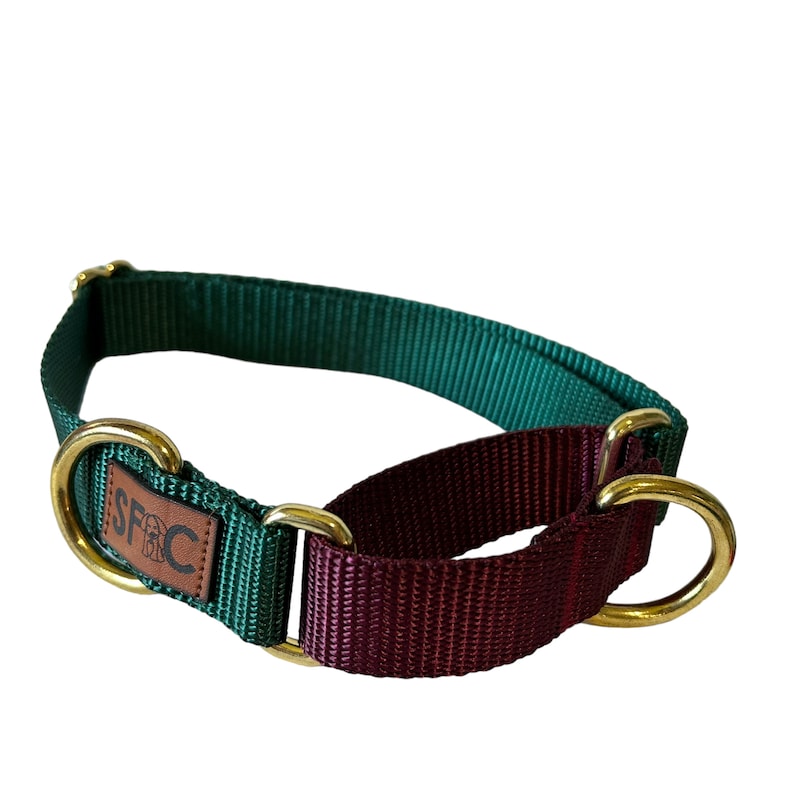 Martingale Dog Collar, Hunter and Maroon Boutique Style Dog Collar with brass hardware image 2