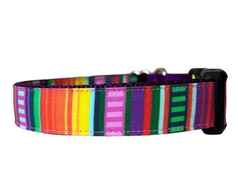 Serape Stripe Dog Collar, Purple Nylon, Rainbow Color Stripe, Mexican Serape