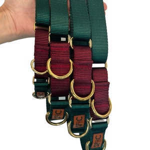 Martingale Dog Collar, Hunter and Maroon Boutique Style Dog Collar with brass hardware image 3