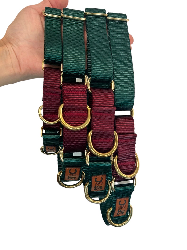 Martingale Dog Collar, Hunter and Maroon Boutique Style Dog Collar with brass hardware afbeelding 3