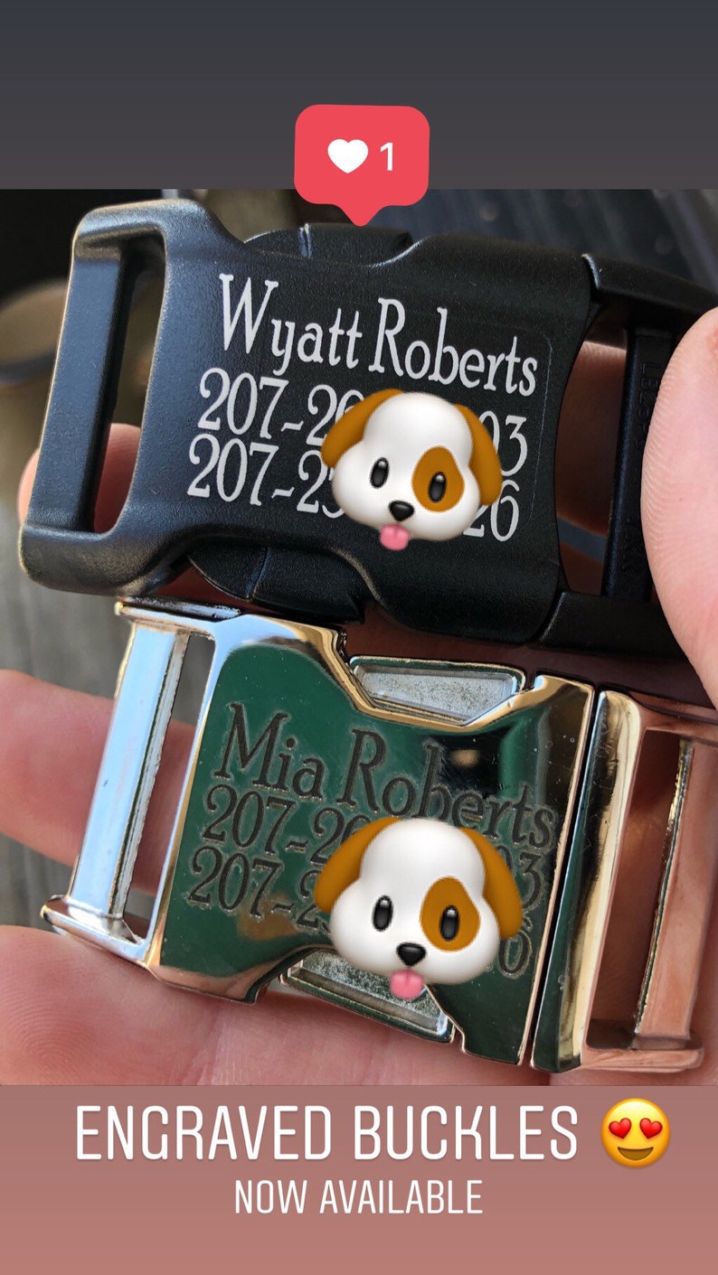 Engraved Dog Collar upgrade,Engraved Buckle Dog Collar, Buckle Upgrade, Add-On Listing, Personalized Dog Collar 画像 2