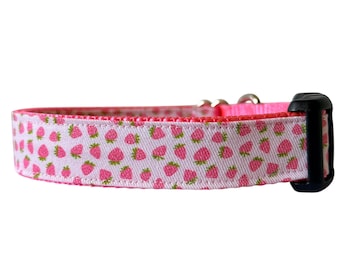 Dog Collar Strawberries, Fruit, Pink Nylon, Outdoor Collar, Maine Strawberry, Fruit Collar