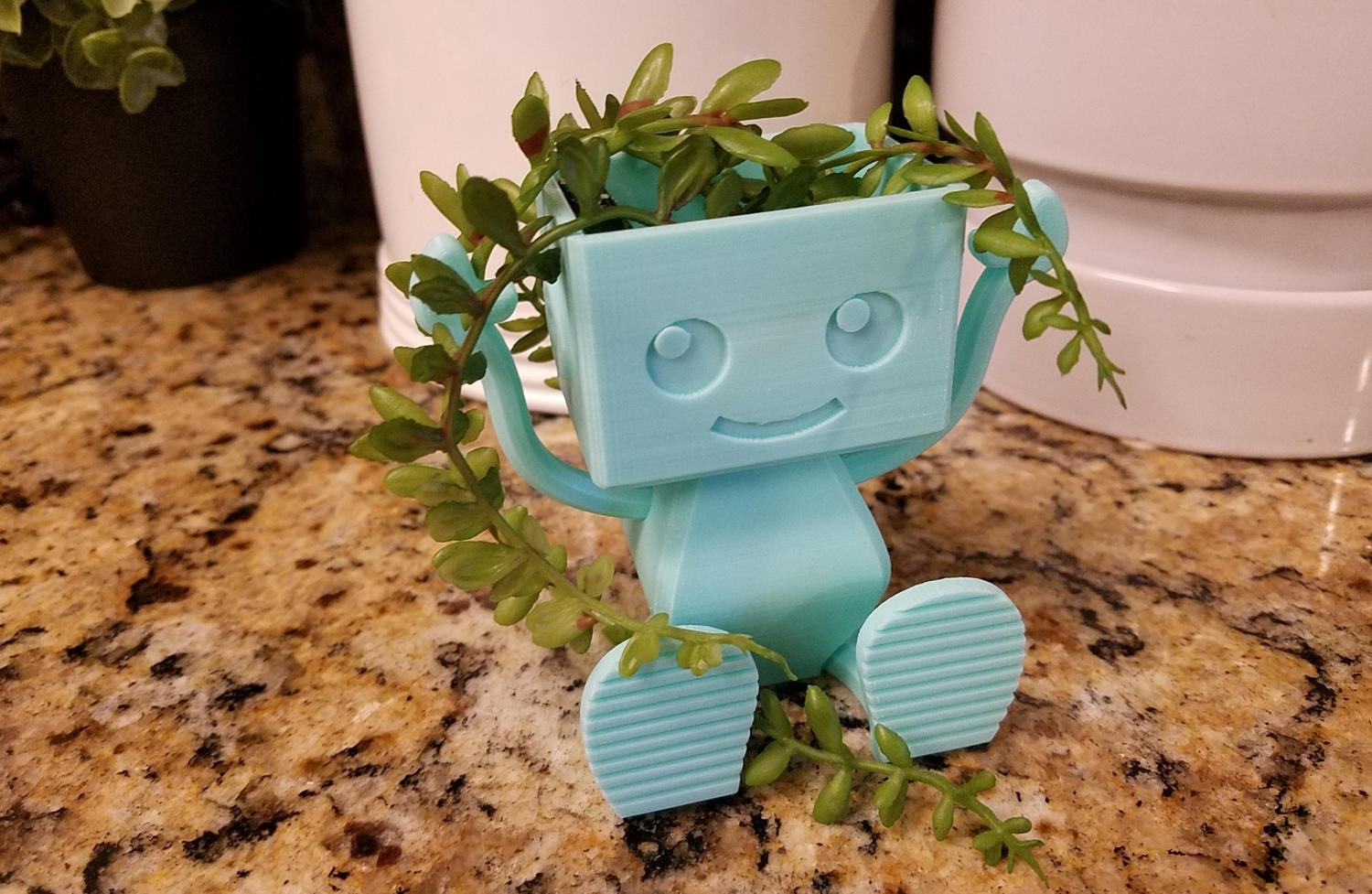 Build-A-Robot Planter, Succulent Planter, Air Planter Many Colors