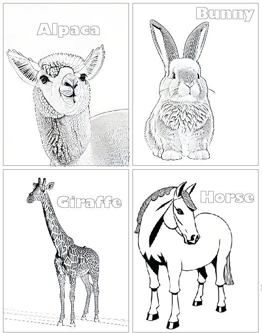 ABC Animal Coloring Pages - Etsy