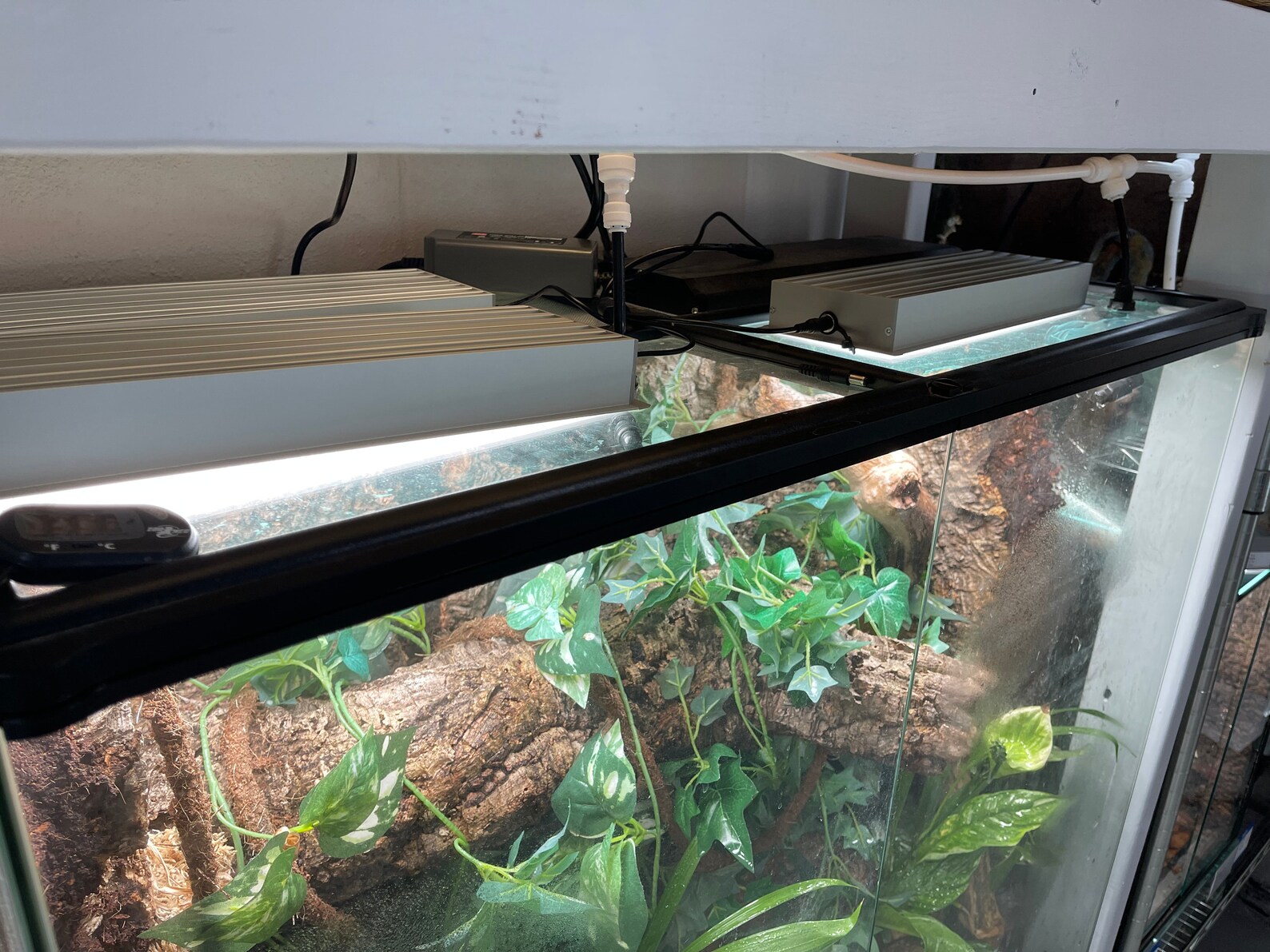 Thrive Ecosystems Standard 12 Double Vivarium Lights Etsy