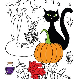 Printable Halloween Coloring Page, Cat, Pumpkin, and Witch Coloring Page PDF File image 1