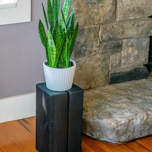 shou sugi ban timber plant stand