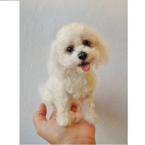 Needle felted dog - Bolgnese - Maltese - Bichon - Havanese dog sculpture - dog portrait -  memorial