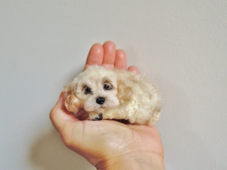Needle felted dog sculpture Cockapoo Spaniel Poodle Yorkshire Terrier laying sculpture felted pet portrait image 6