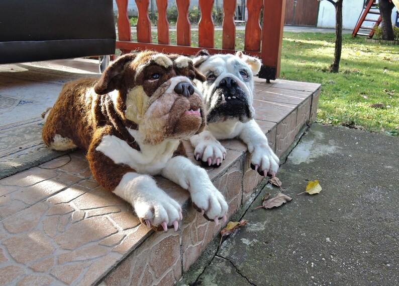 giant bulldog teddy