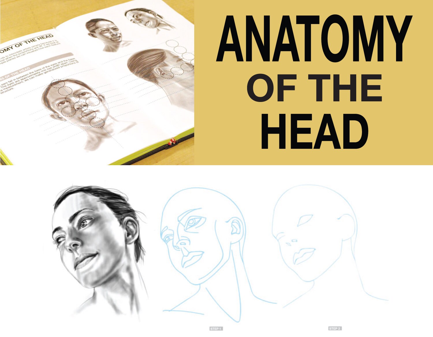 How to Draw FIGURES Digital Edition | Etsy