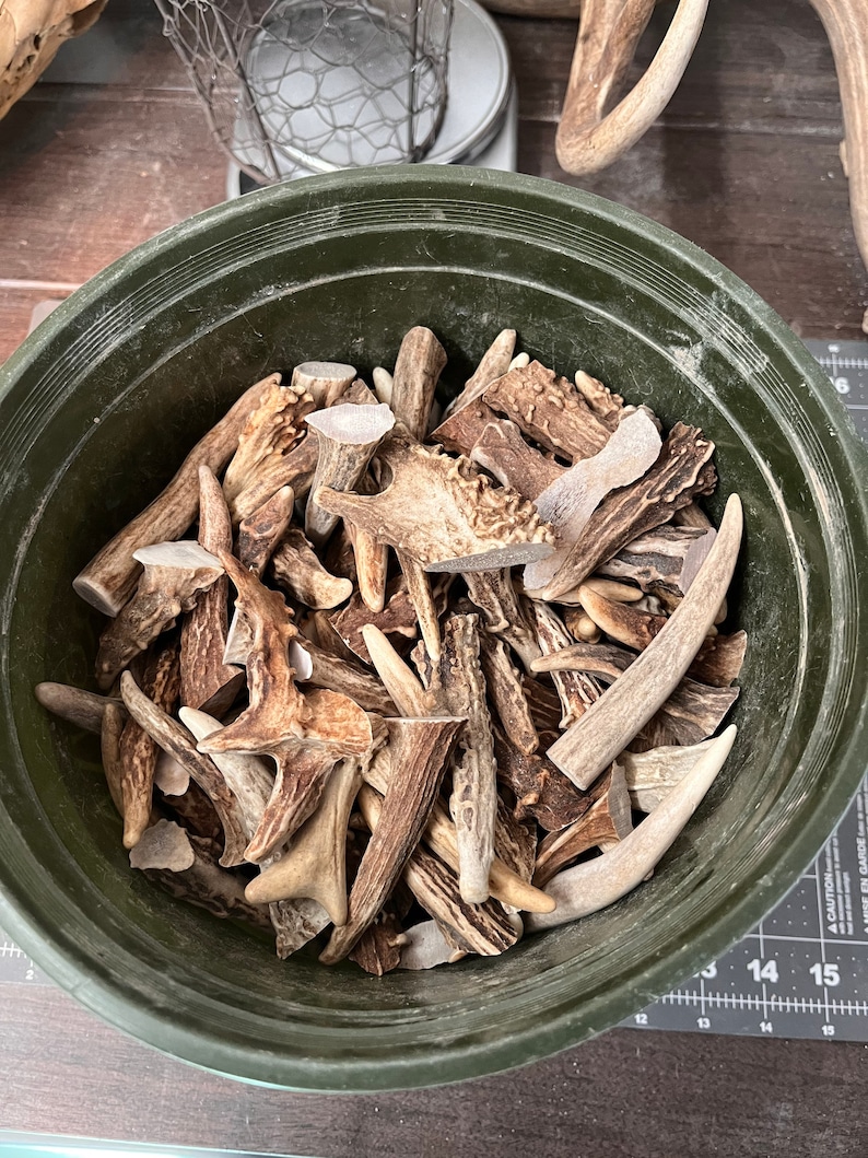 Mule Deer Eye Guards 1 Lb Etsy