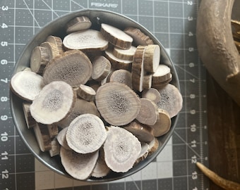 Antler buttons 1 pound