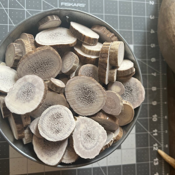 Antler buttons 1 pound