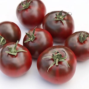 Dwarf Velvet Night Tomato Seeds