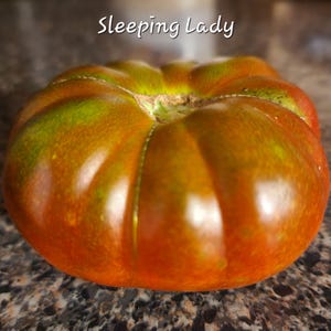 Dwarf Sleeping Lady Tomato