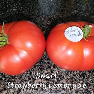 Dwarf Strawberry Lemonade Tomato